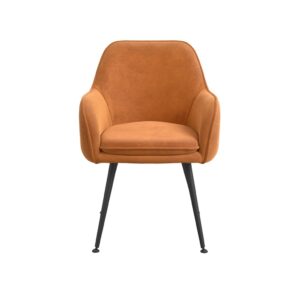 Tara Burnt Rust Dining Chairs x 2 £199